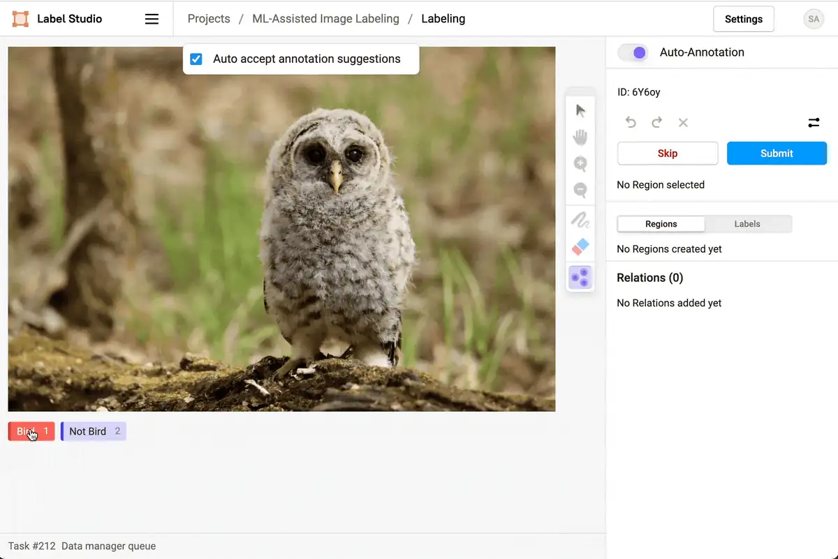 Label Studio classifying a photo of an owl as Bird or Not Bird, with auto-annotation suggestions enabled